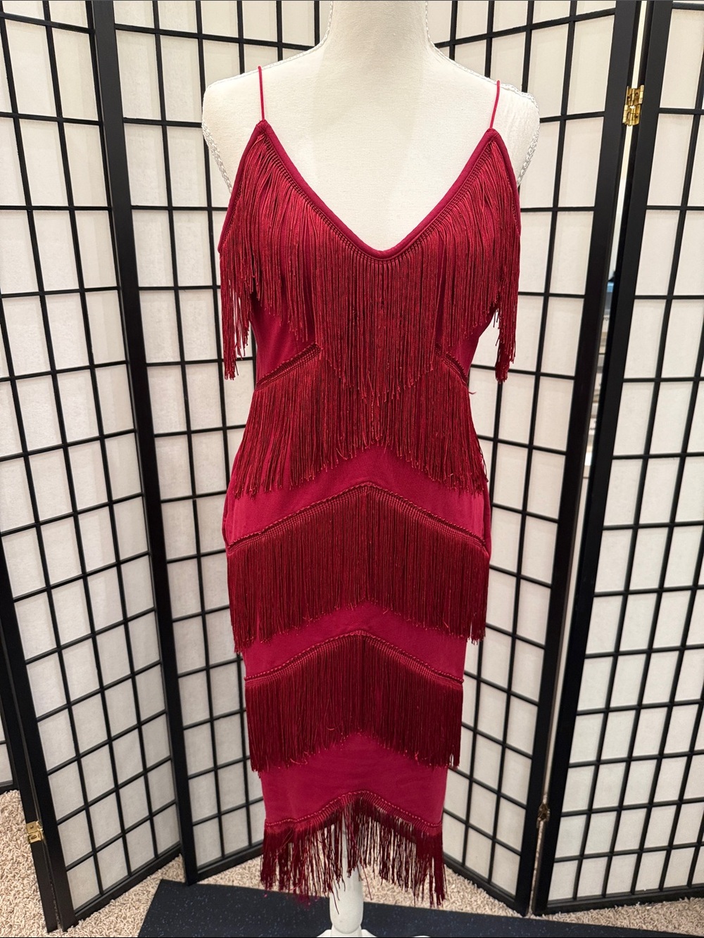 Never worn! Spaghetti Strap Fringe Midi Bodycon Dress in Wine
